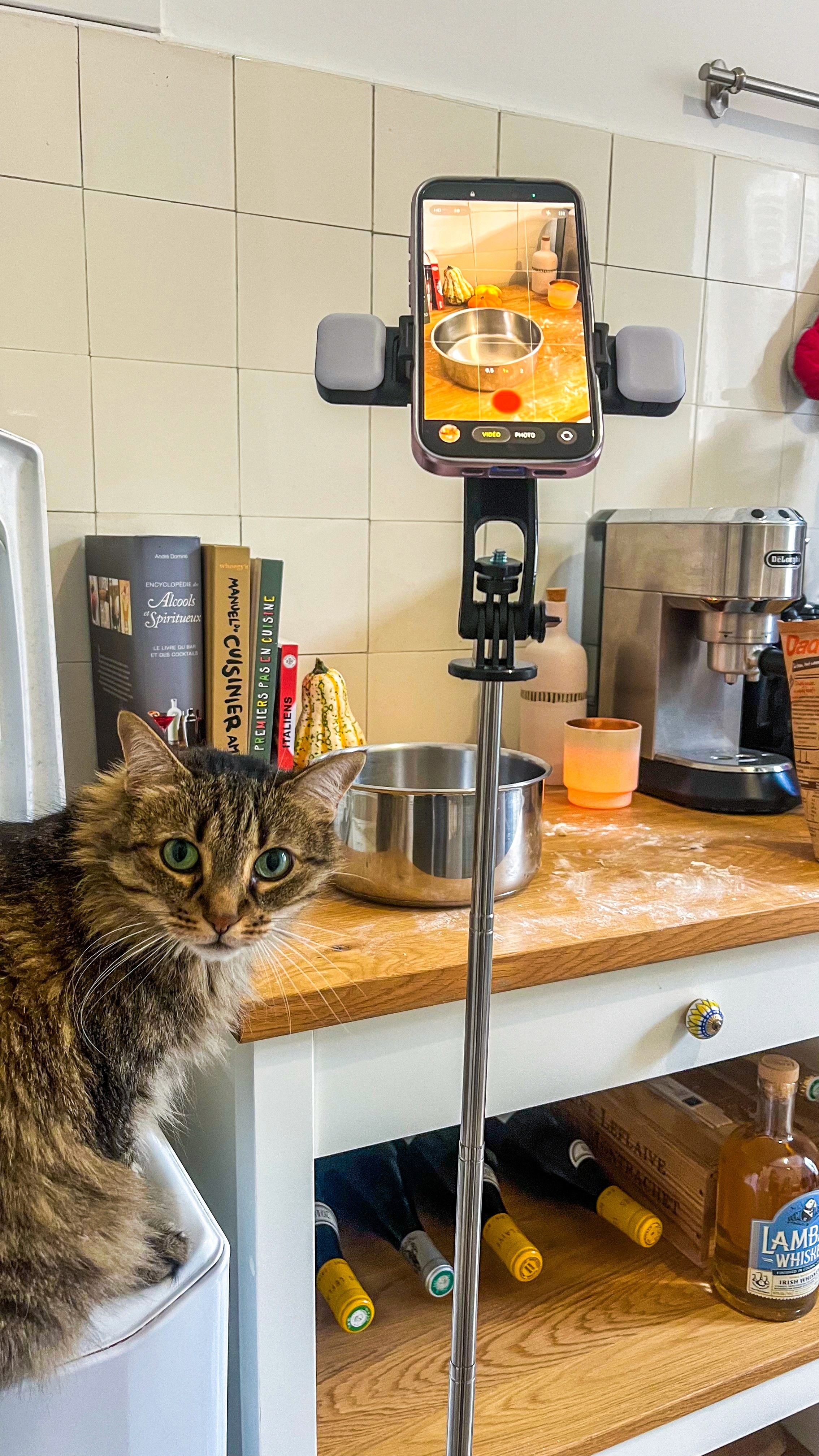 Feedback & Refinement