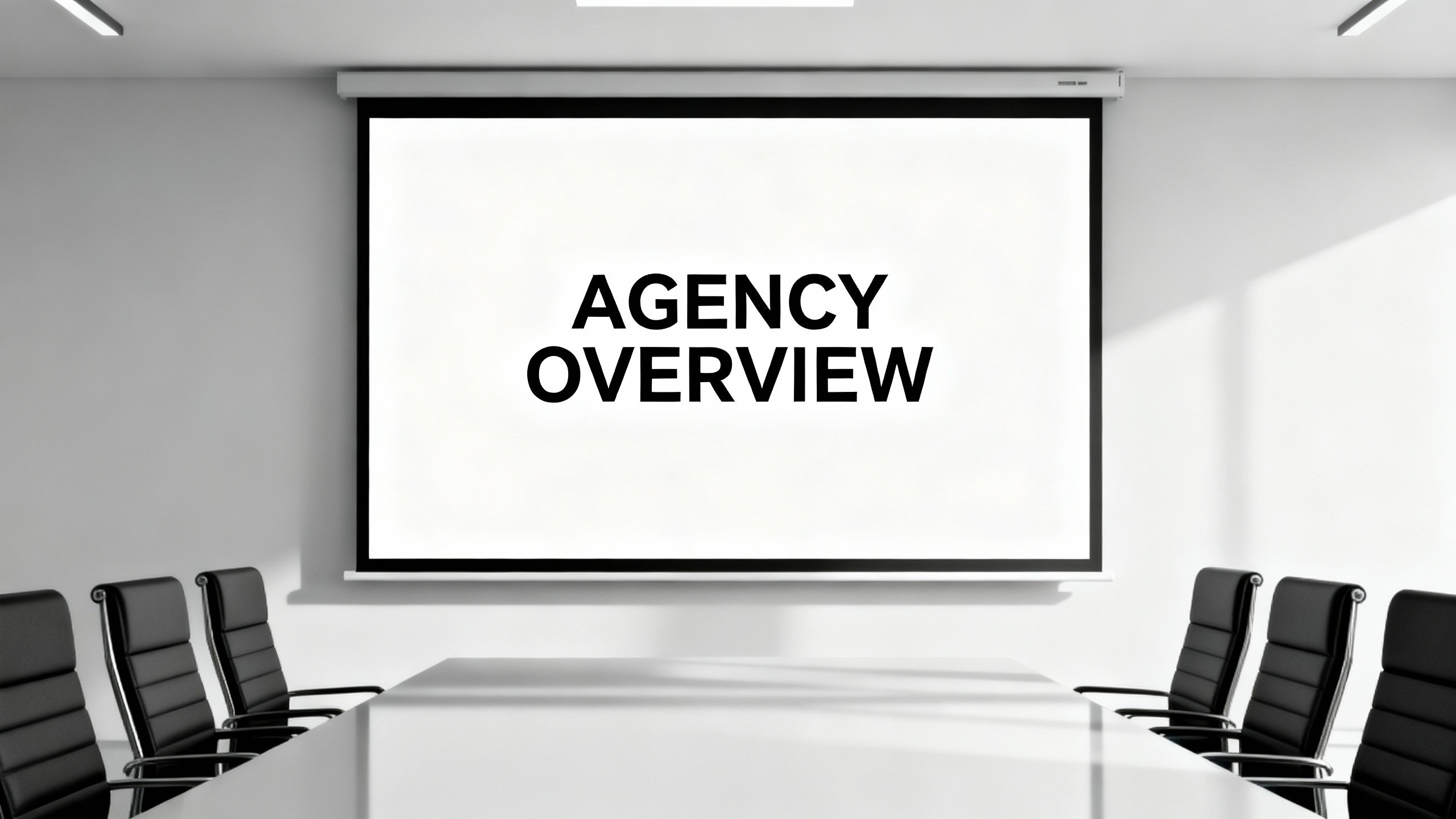 Agency Overview