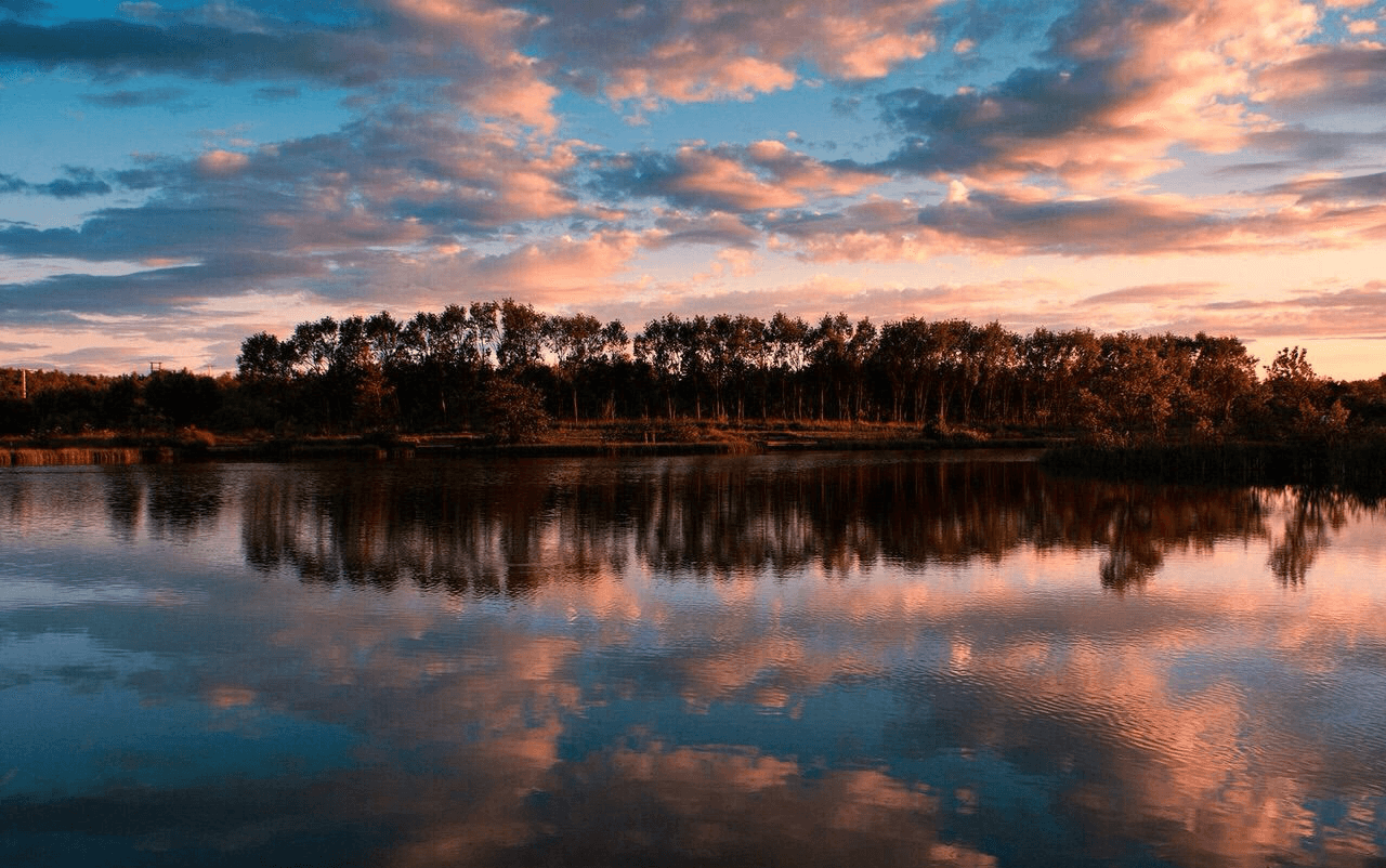 Feature Image
