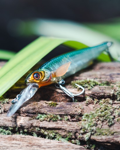High-detail macro shot of a lifelike fishing lure on natural wood, demonstrating outdoor lifestyle product content.