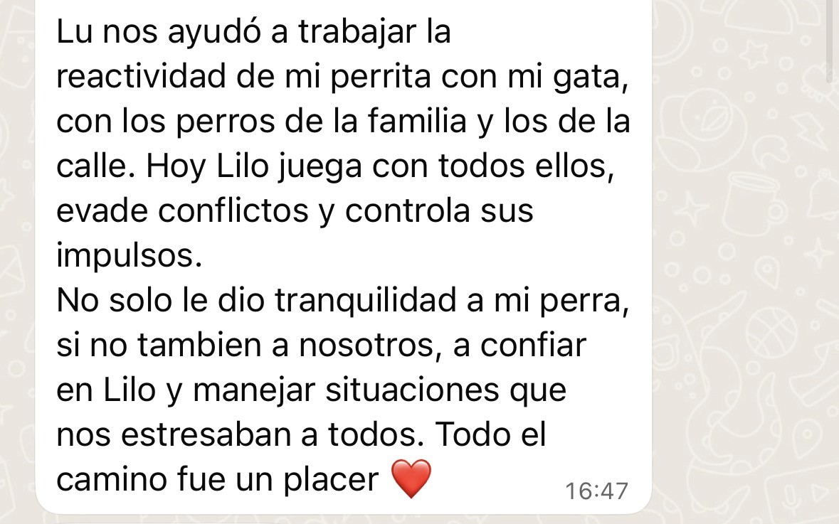 Placeholder neutral para captura de testimonio