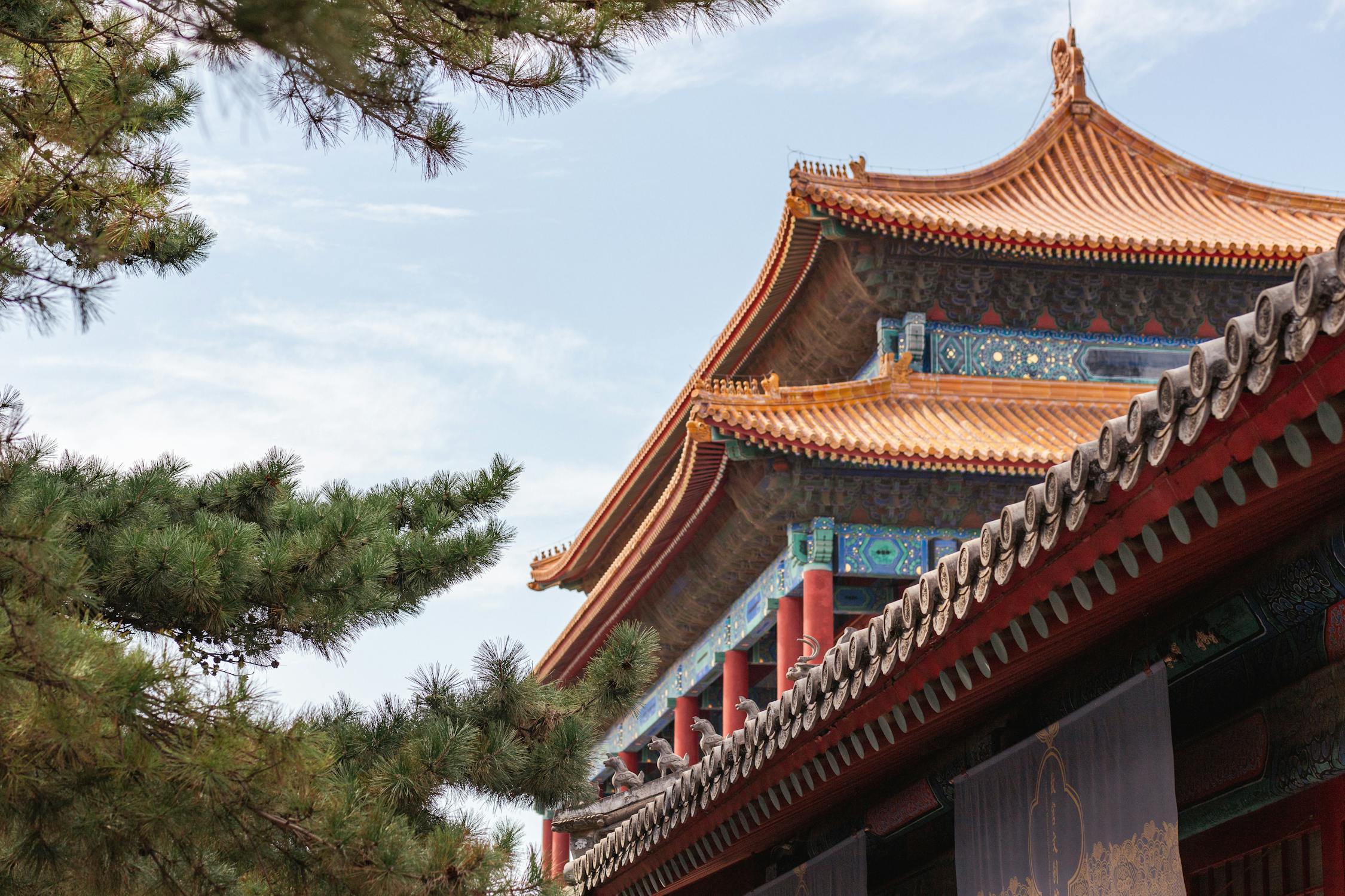 Members may reserve access to Xifu Haitang’s global network of high-end Eastern private clubhouses for private meetings, business receptions, cultural gatherings, and refined social experiences.