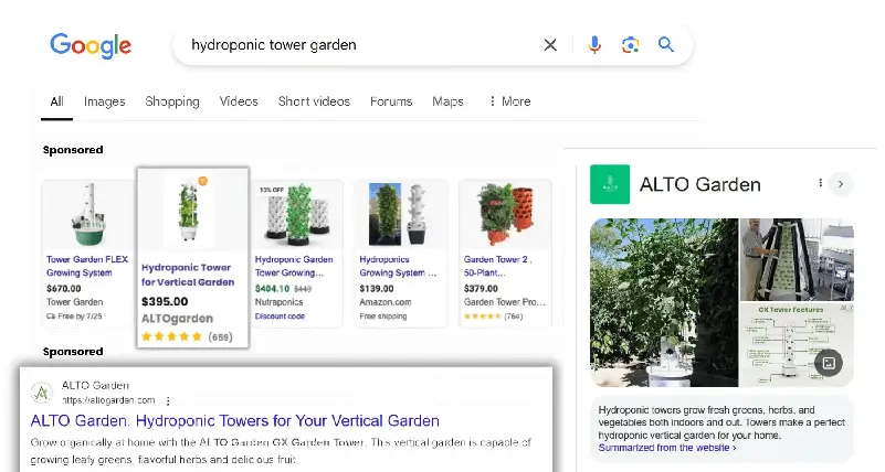 Image of paid search example 