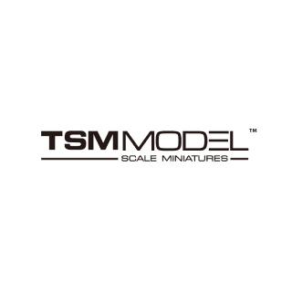 TSM Model logo