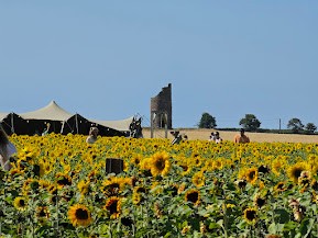 Golf ball in black background
