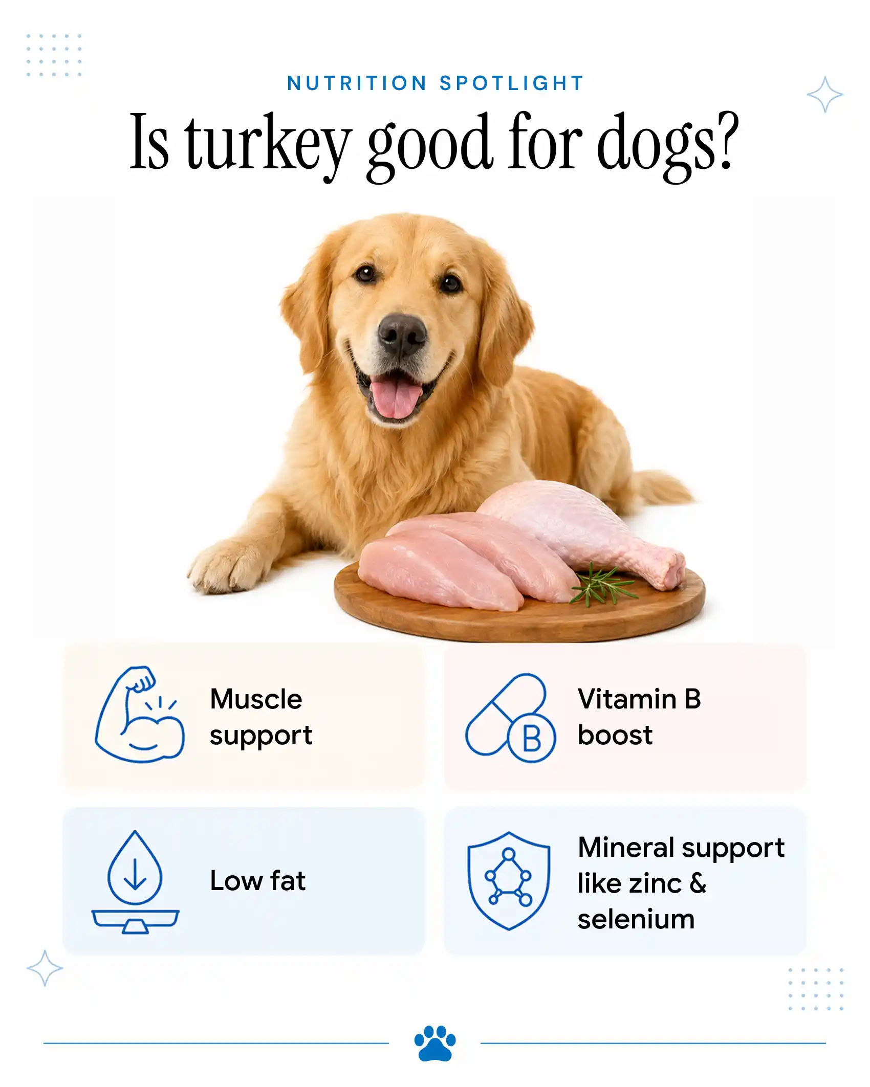 Benefits of turkey for dogs