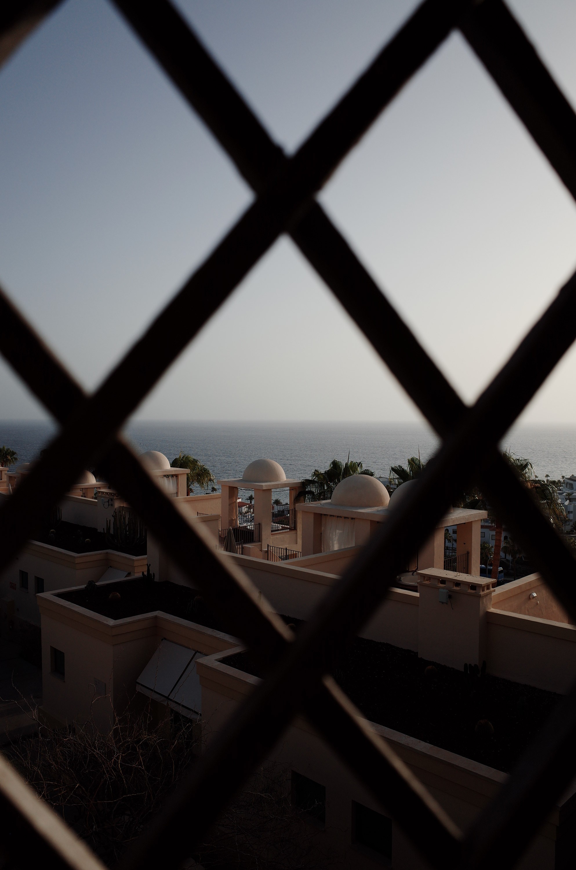 Michael Carter profile with a dynamic light