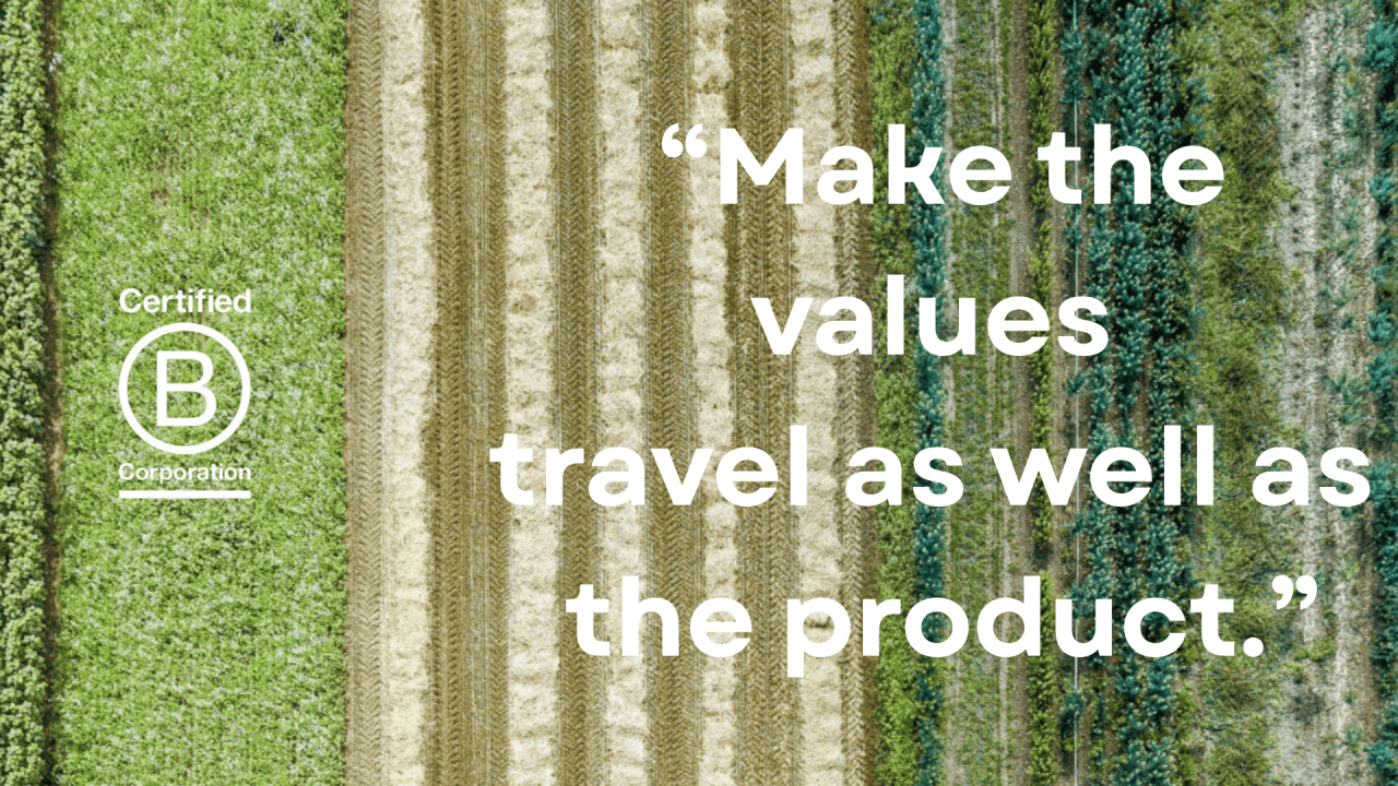 Header image for the Work/Shift Insights article "Why Values-Led Brands Are Quietly Winning the Future"