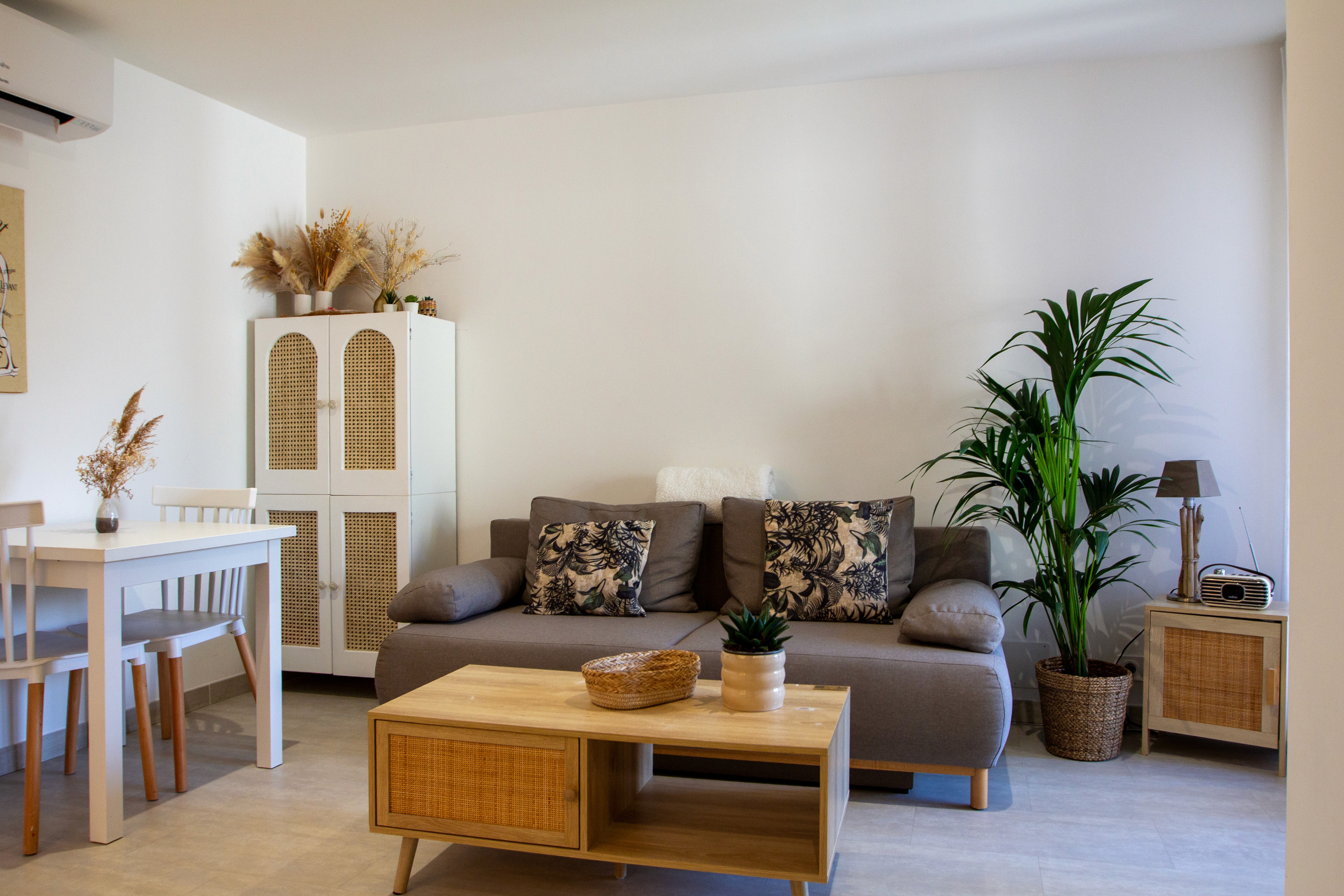 Décoration salon scandinave et bohème avec canapé gris, table basse en bois et cannage, et plantes vertes.