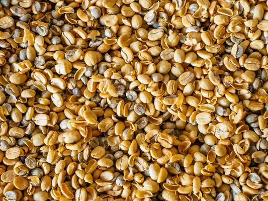 Hemp Seed Protein