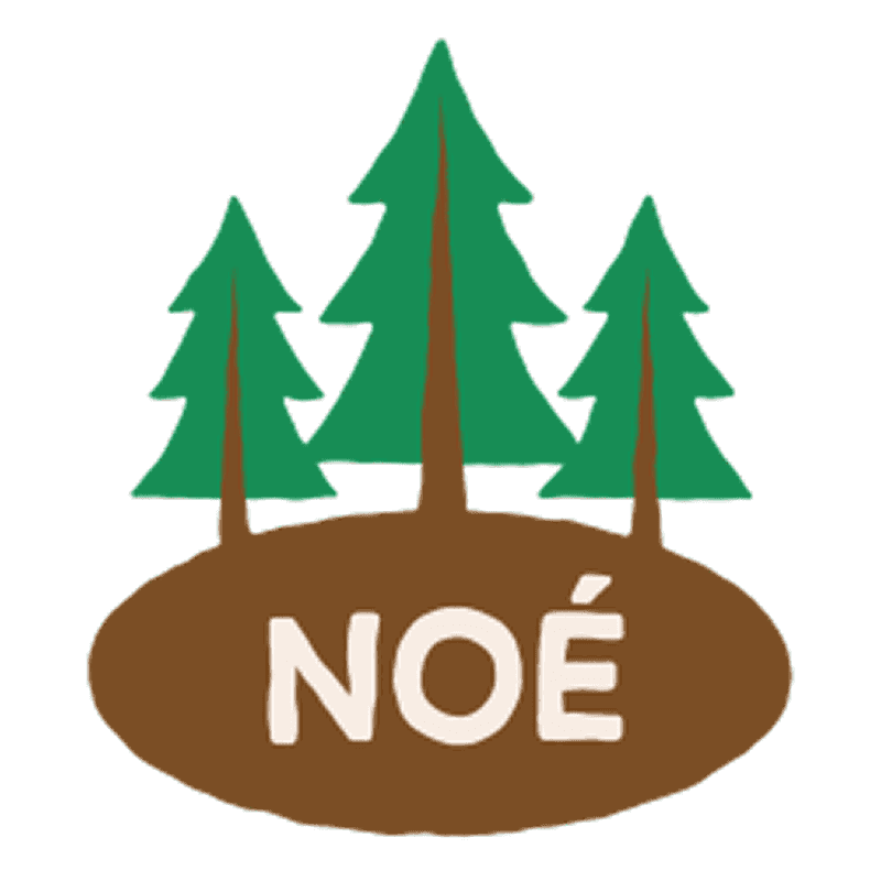 Illustration d'un cadre fait sur-mesure avec le prénom "Noé".