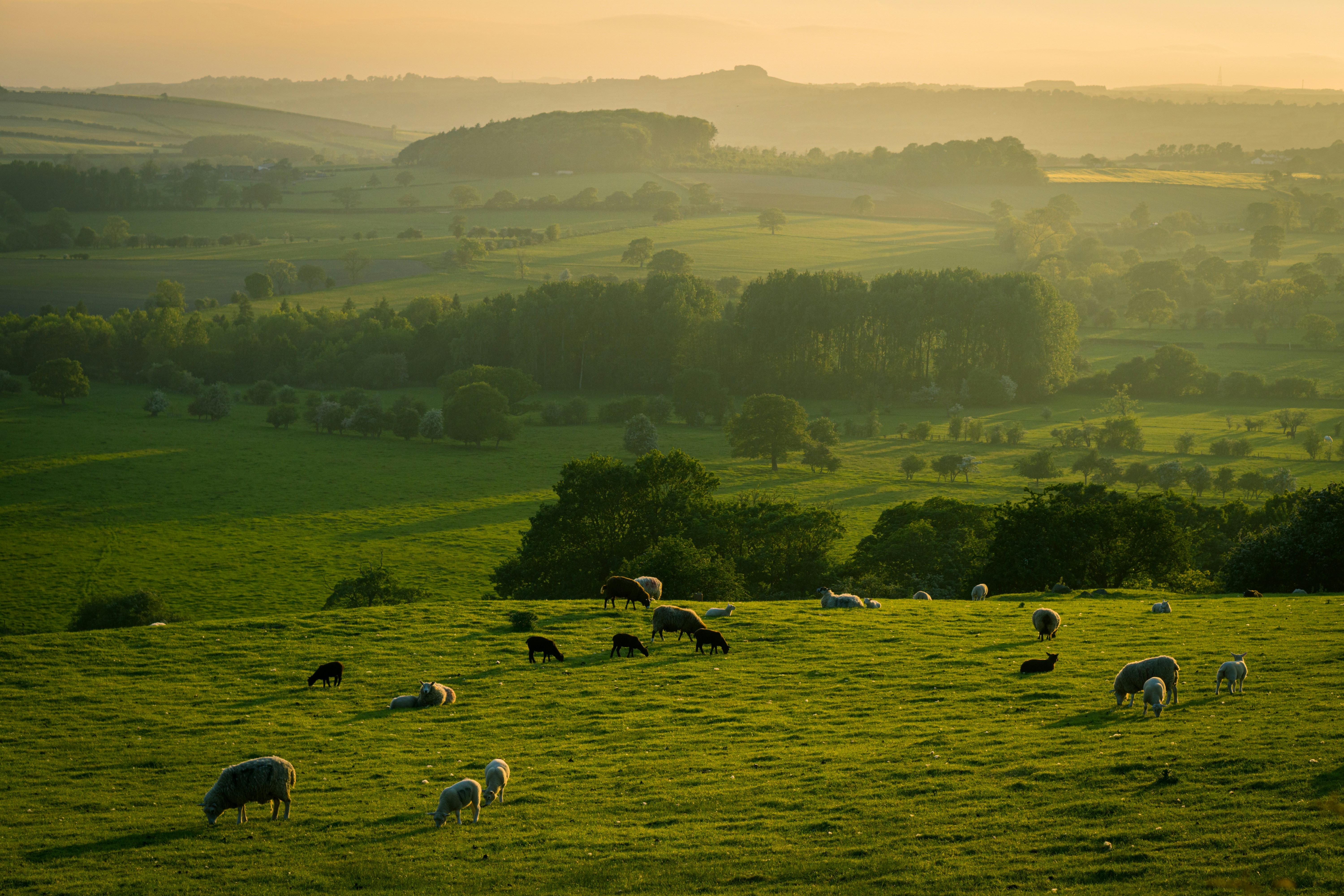 A view over the yorkshire dales. 