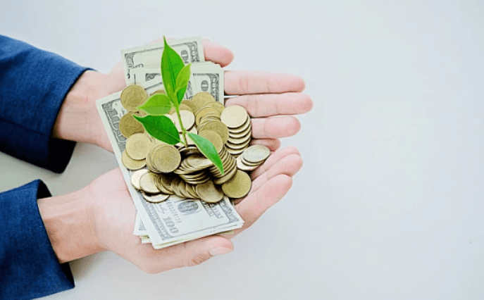 Flexible Growth Strategy