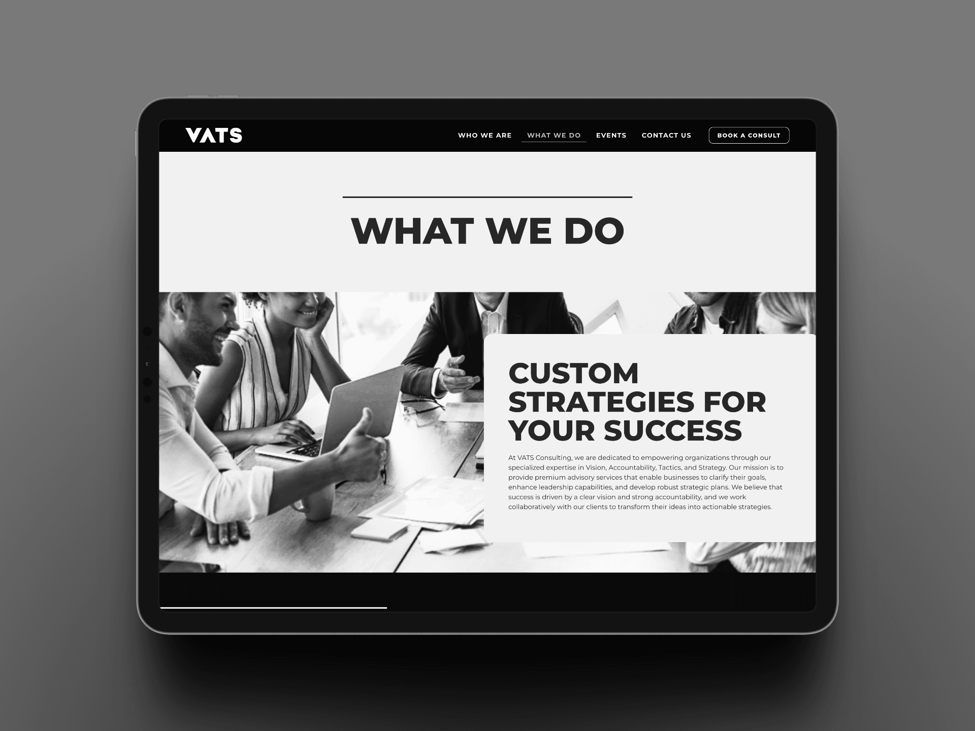VATS Consulting - What we do section