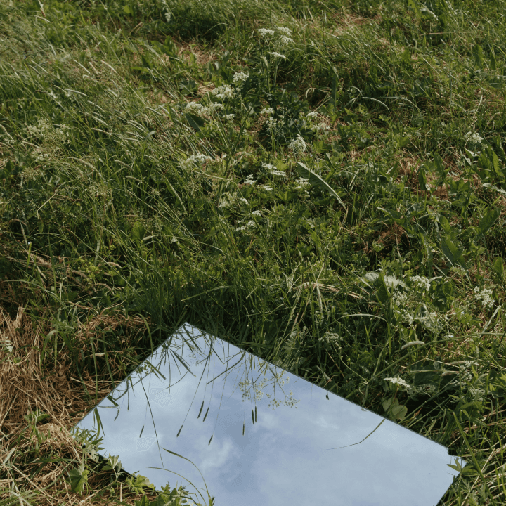  Mirror in grass