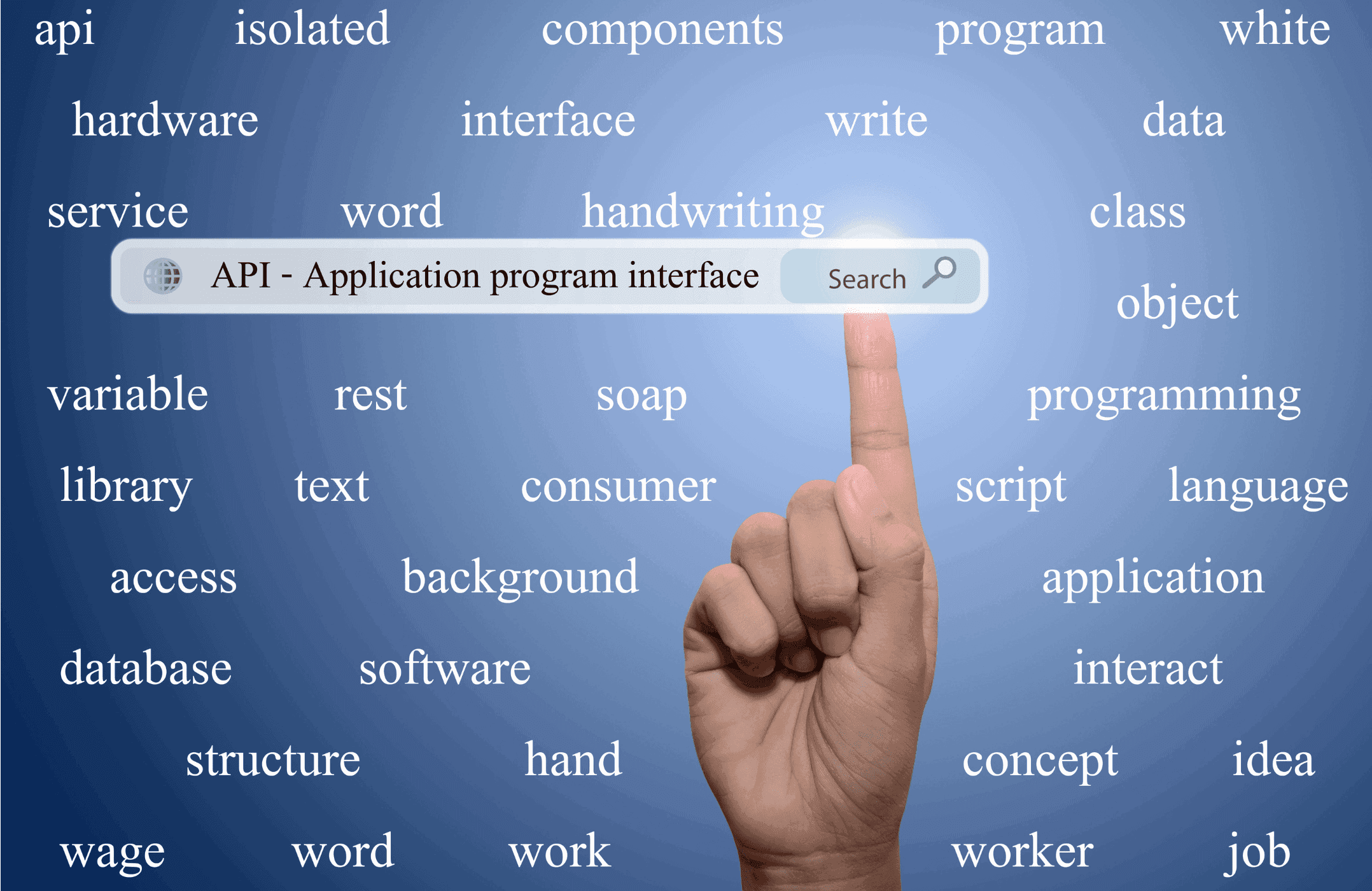 What is an Ecommerce API?