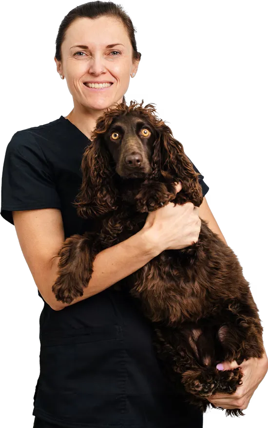 Dr. Paulina Czerska: Veterinary Surgeon