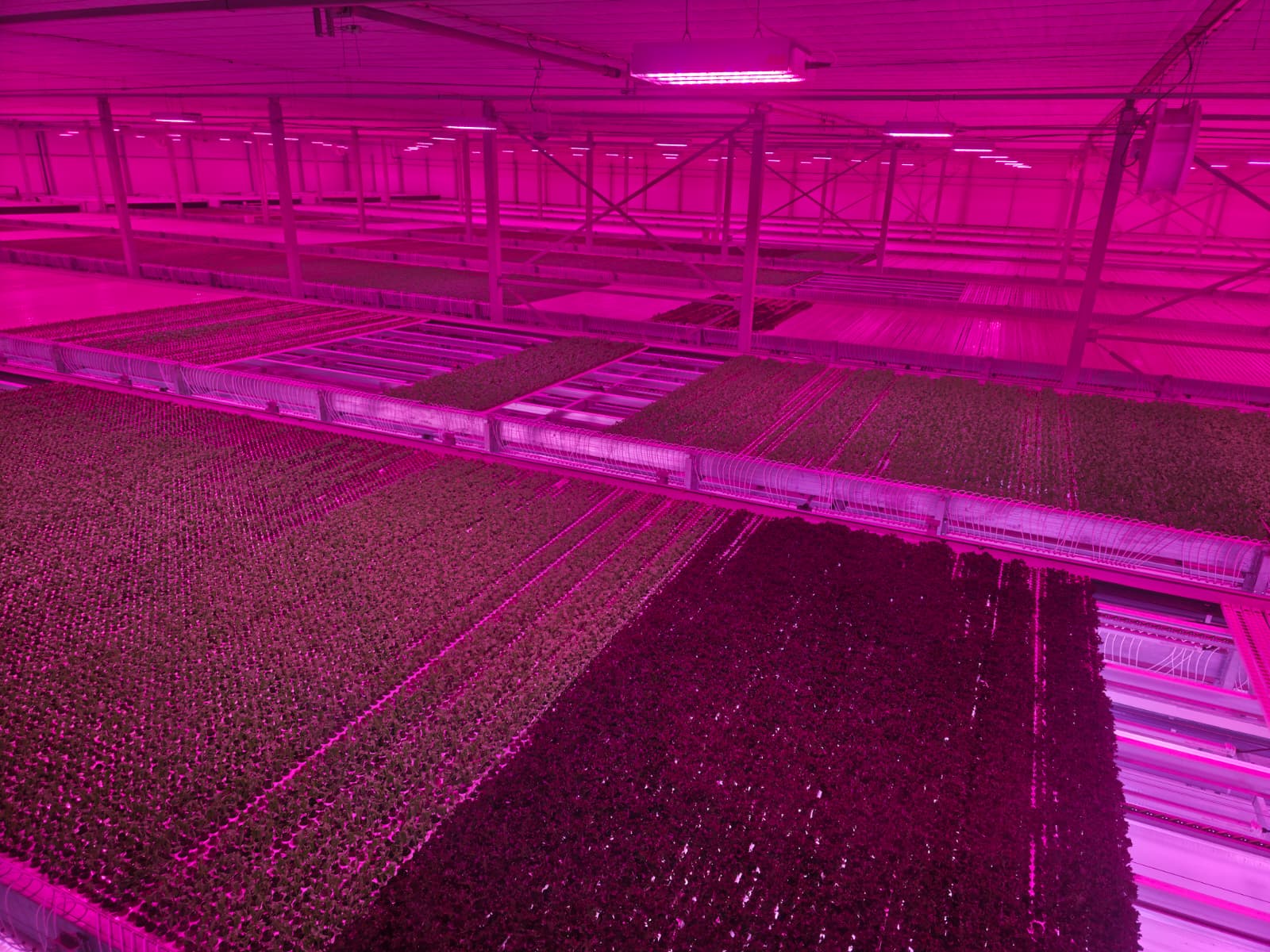 Horti XS B.V. Project The little garden | 0.5 ha