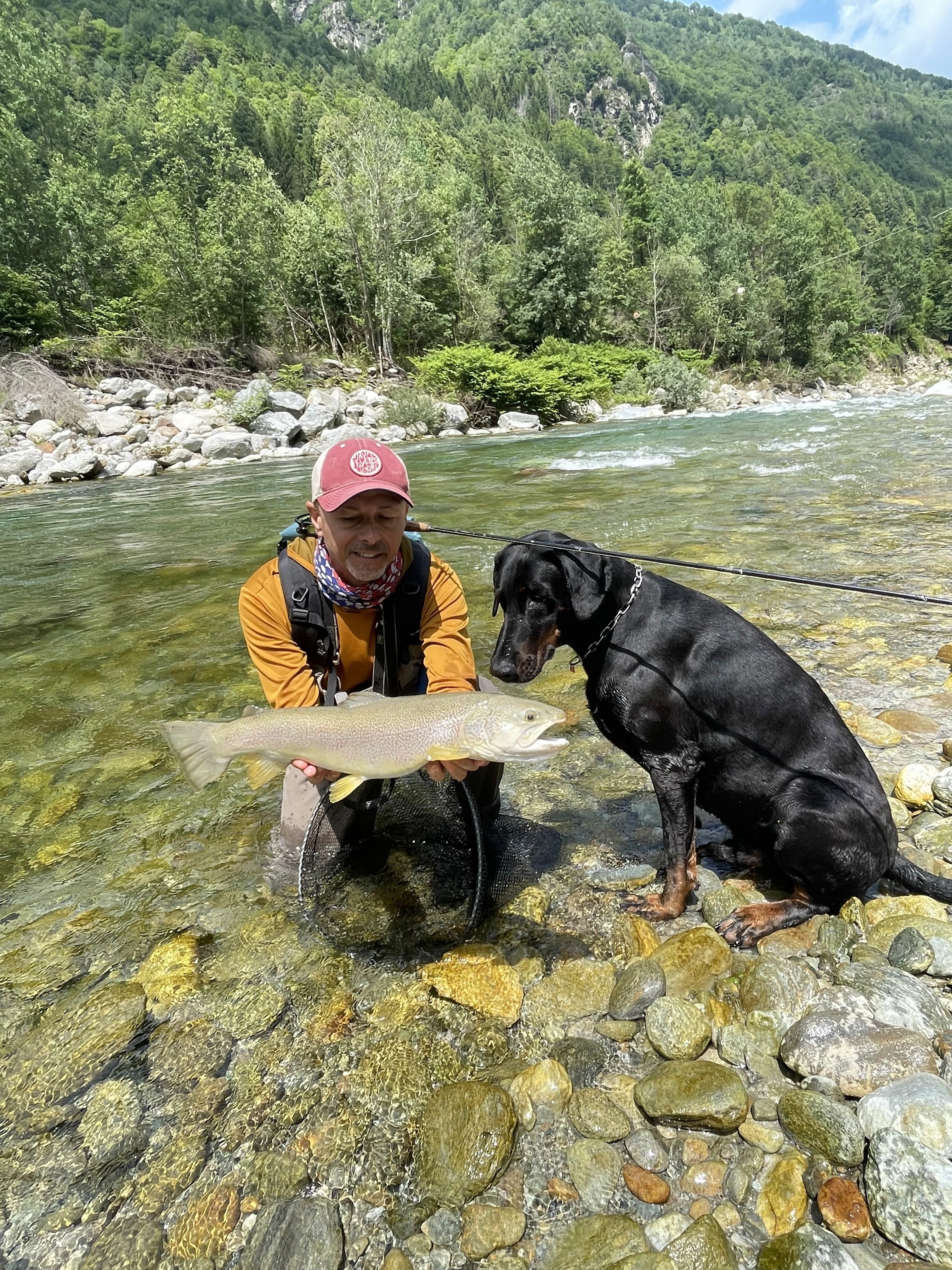 Experience the excitement of fly fishing on the Sesia River near Milan, northern Italy. Fish for big brown trouts, marble trout, and grayling in stunning waters. Expert guides will teach you advanced fishing techniques. Perfect for an Italian fishing adventure.