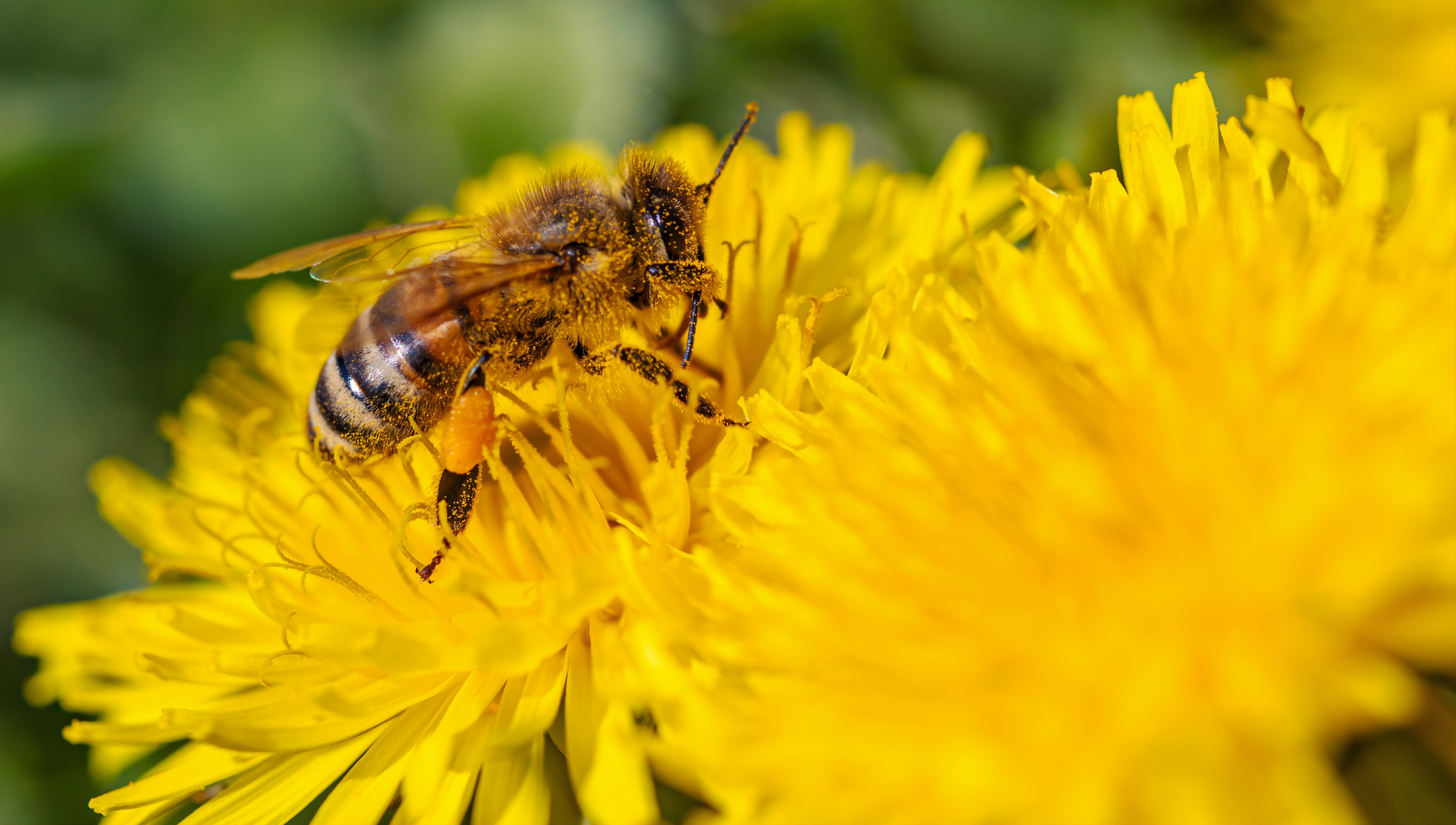 beautiful couple outdoors