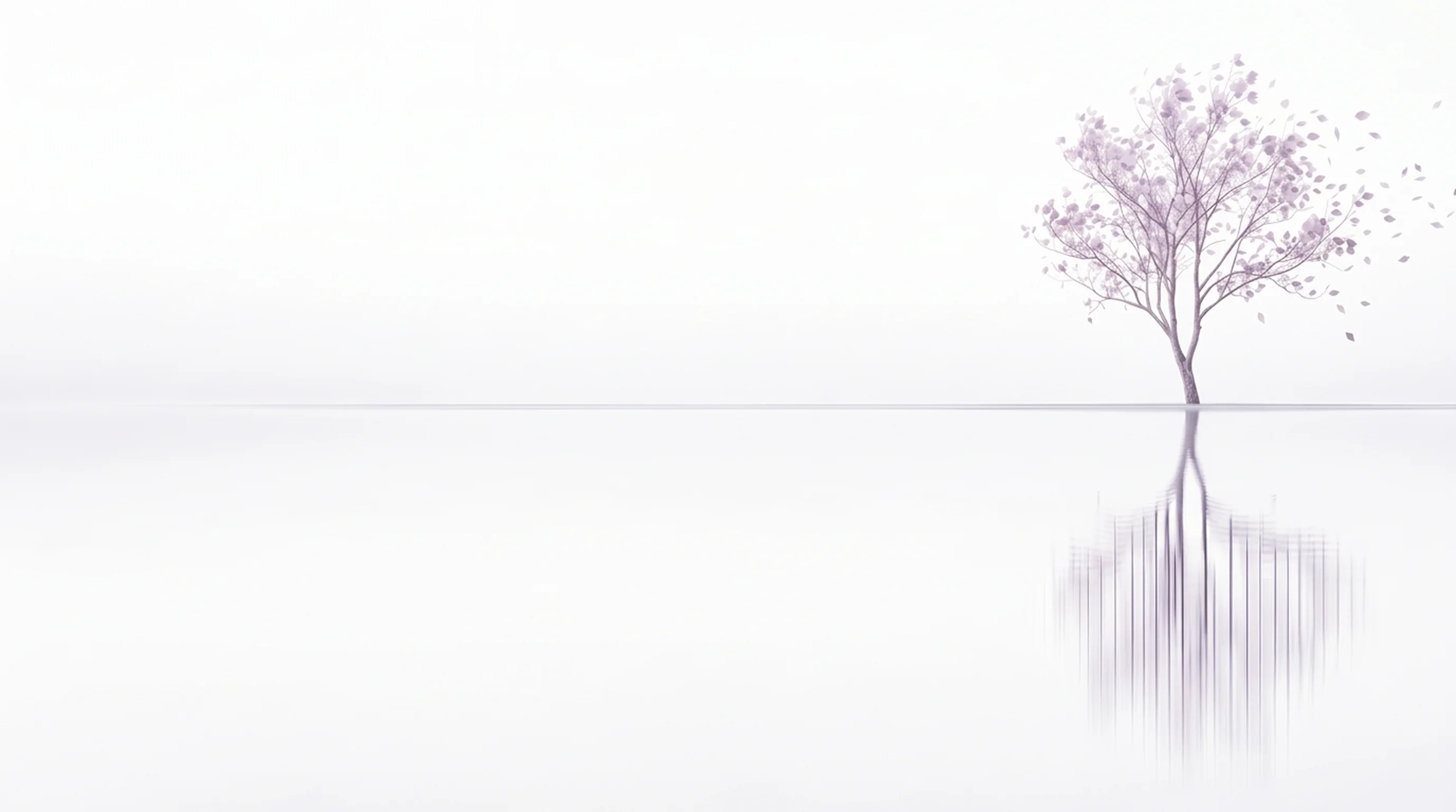 Programs_bg