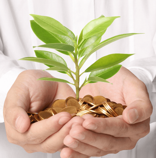 Leven en beleggingen