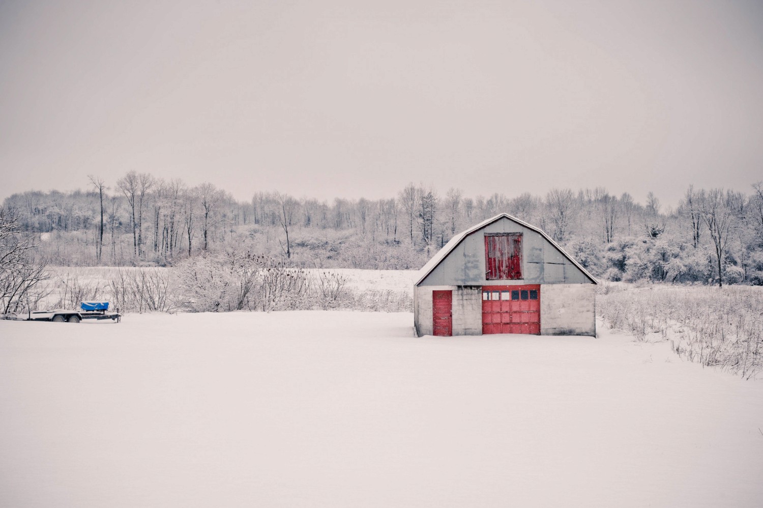 winter farmland