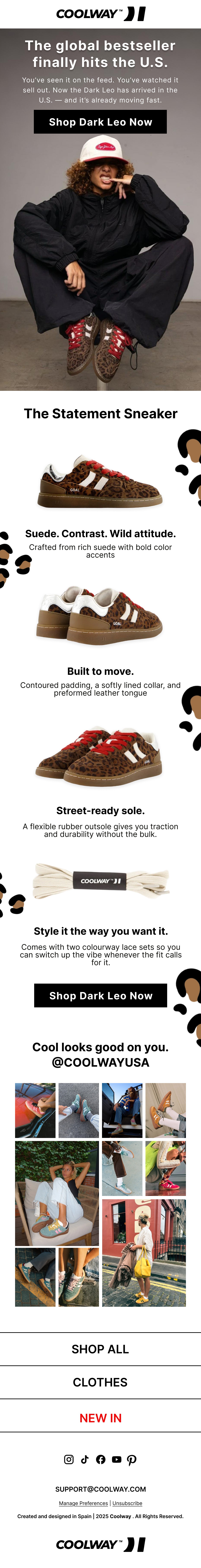 Ecommerce email marketing design created by SirenClick.