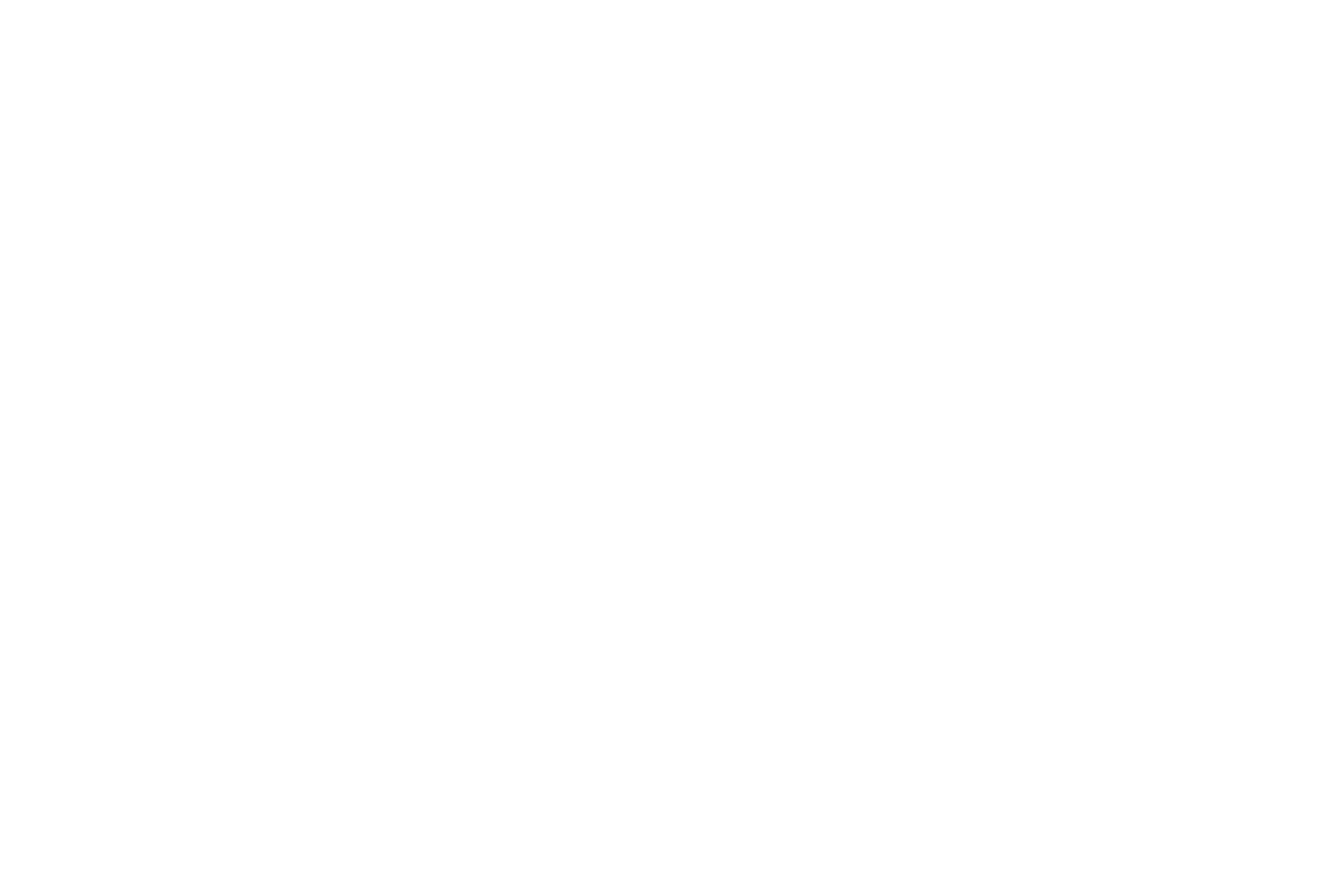 Logo top