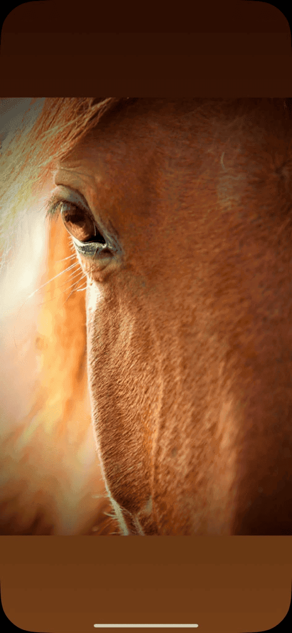 Cavalière en plein saut d'obstacle lors d'un cours d'équitation dans la carrière en sable du Ranch Pegase.