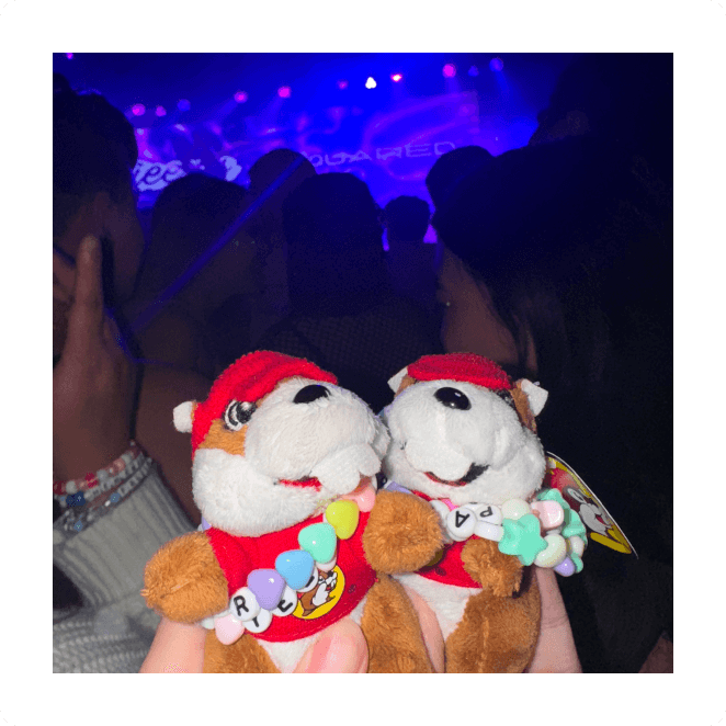 Photo of 2 bucee keychains at a concert. They have rainbow friendship braclets on them.