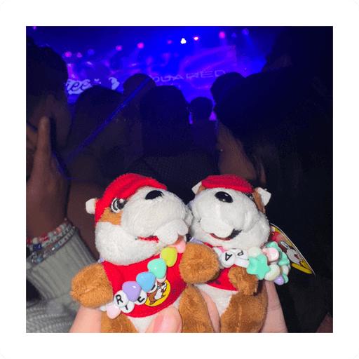 Photo of 2 bucee keychains at a concert. They have rainbow friendship braclets on them.