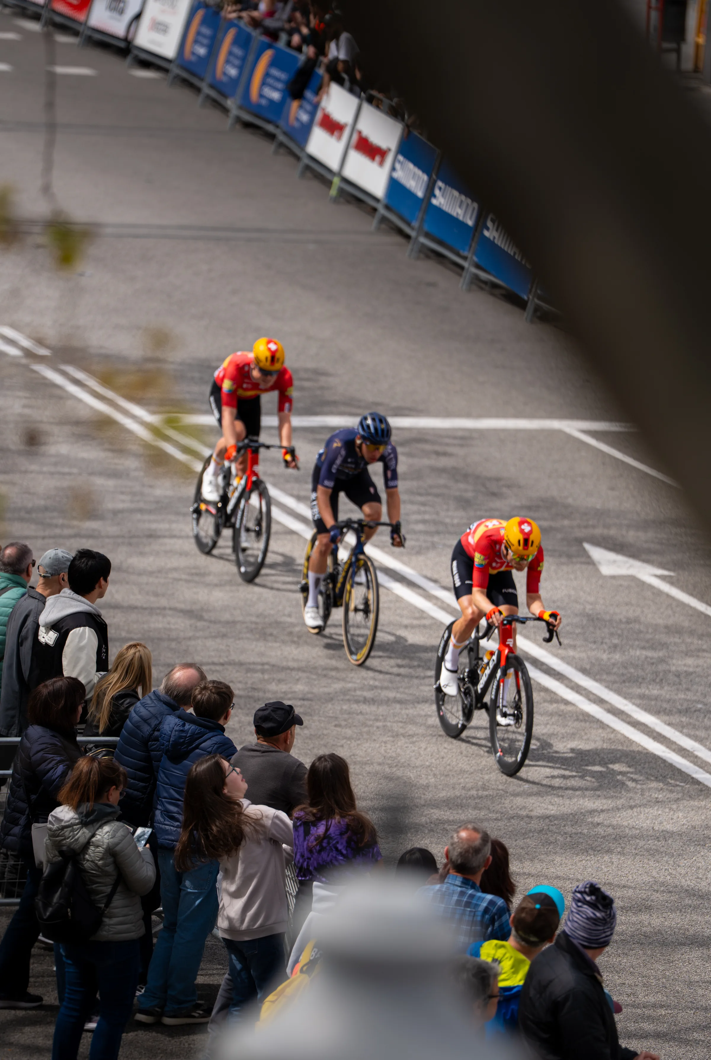 Pelotón de ciclistas profesionales en la Volta Ciclista a Catalunya 2026, fotografía de Nolan Pardo