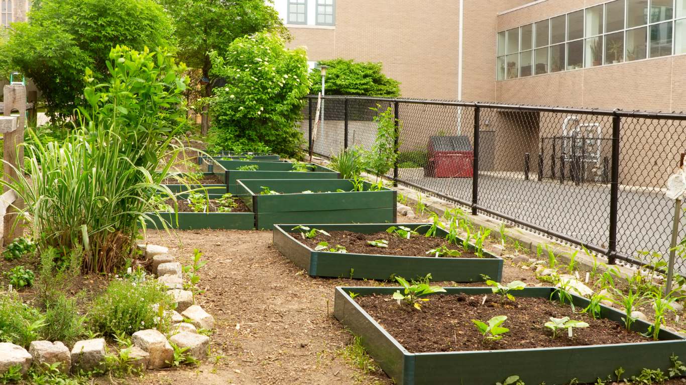 Residential Garden Bed Installation