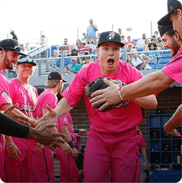 How FlowFi Helped the Flamingos Knock Their Finances Out of the Park