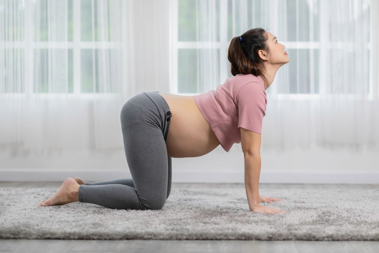 Cat–Cow pose