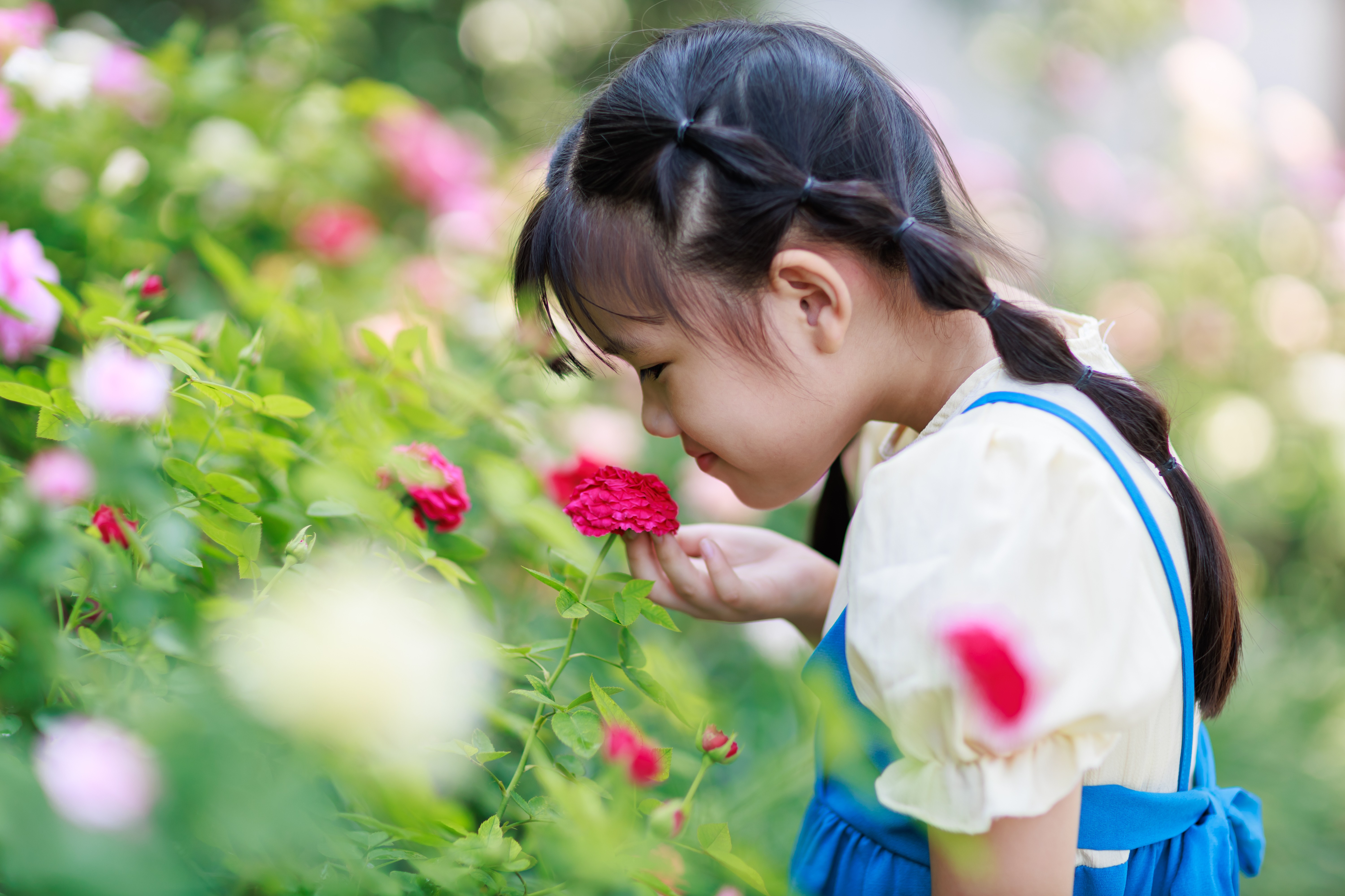 A young girl smelling roses.