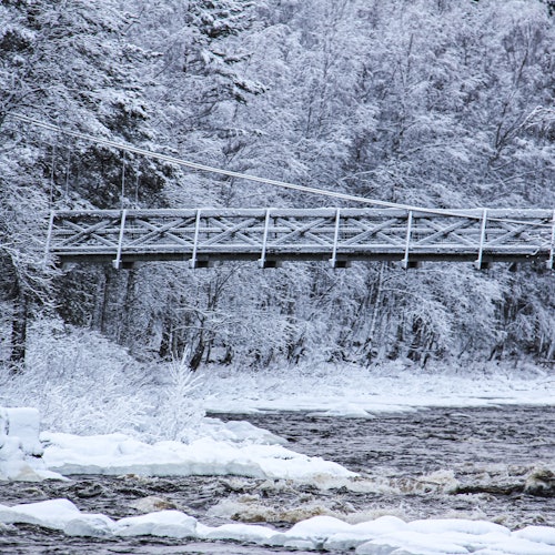 Vikakongas Nature