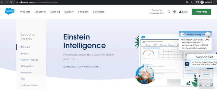 Salesforce Einstein