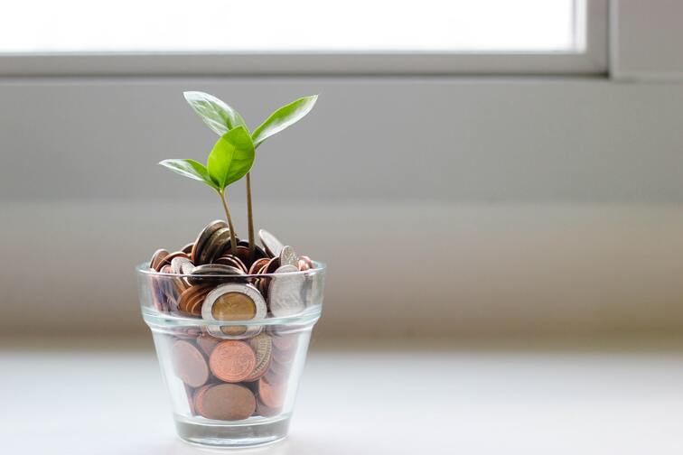 a plant growing in a glass full of changes