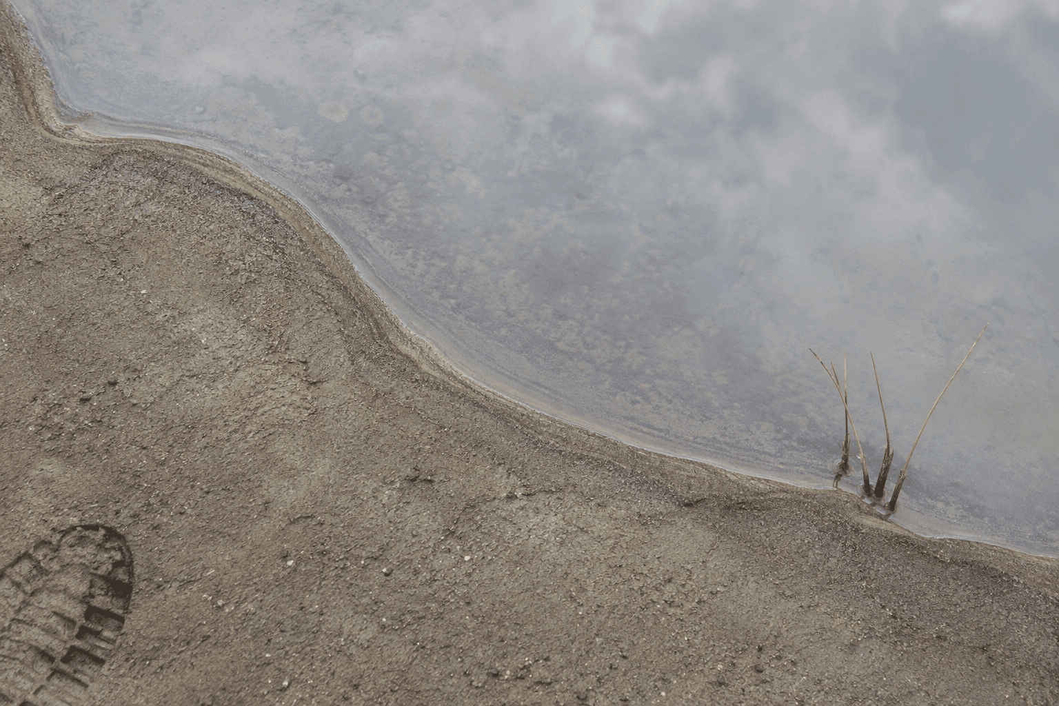 A silt line and shallow puddle on damp ground after rain, marking where water collected.