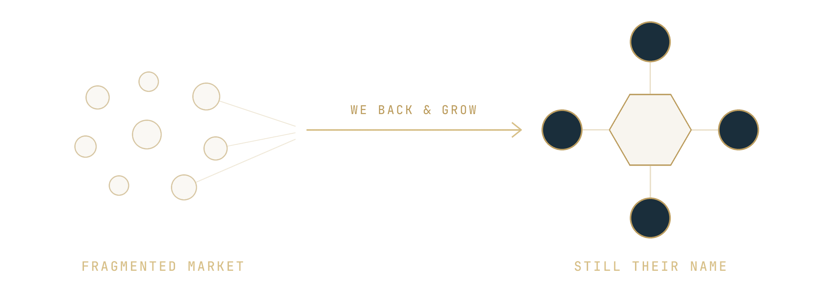 The de Anda model diagram