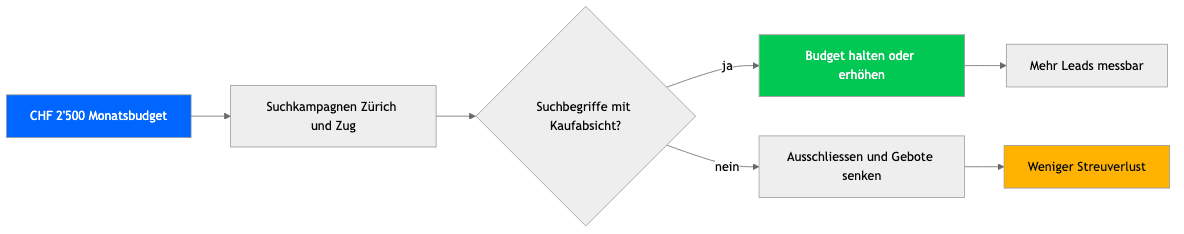Google Ads Kosten Schweiz - Praxisdiagramm 1