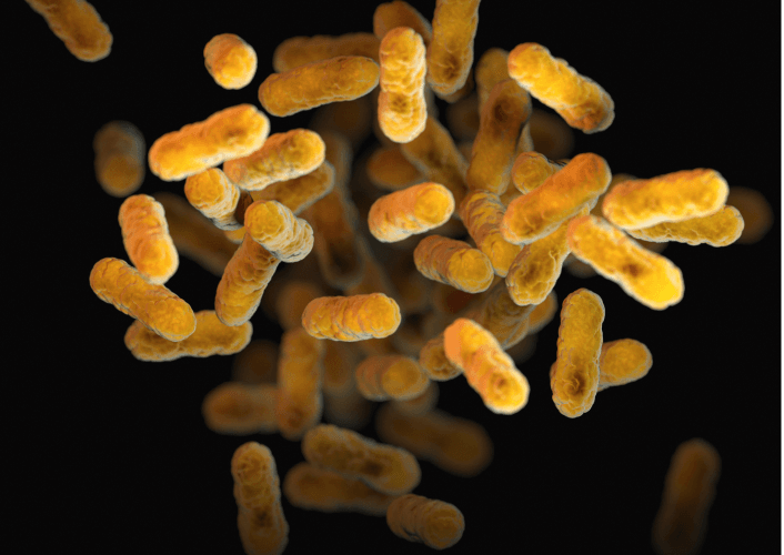 Close-up illustration of bacteria cells under a microscope.