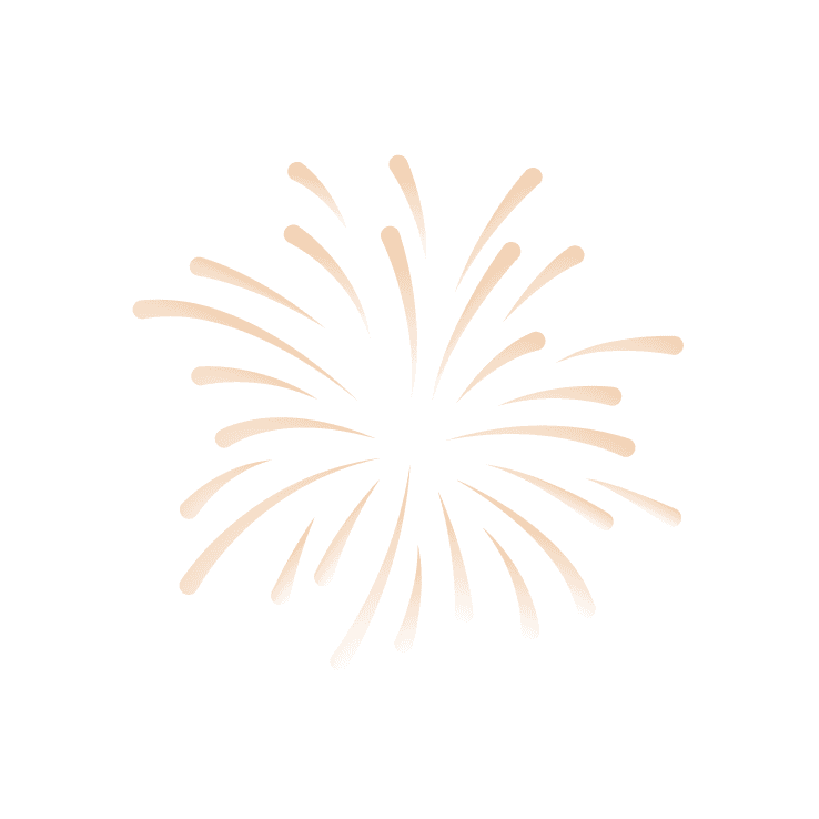Firework explosion illustration