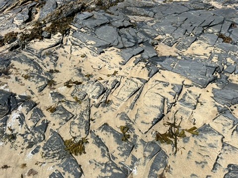 blue sky and white clouds over the sea