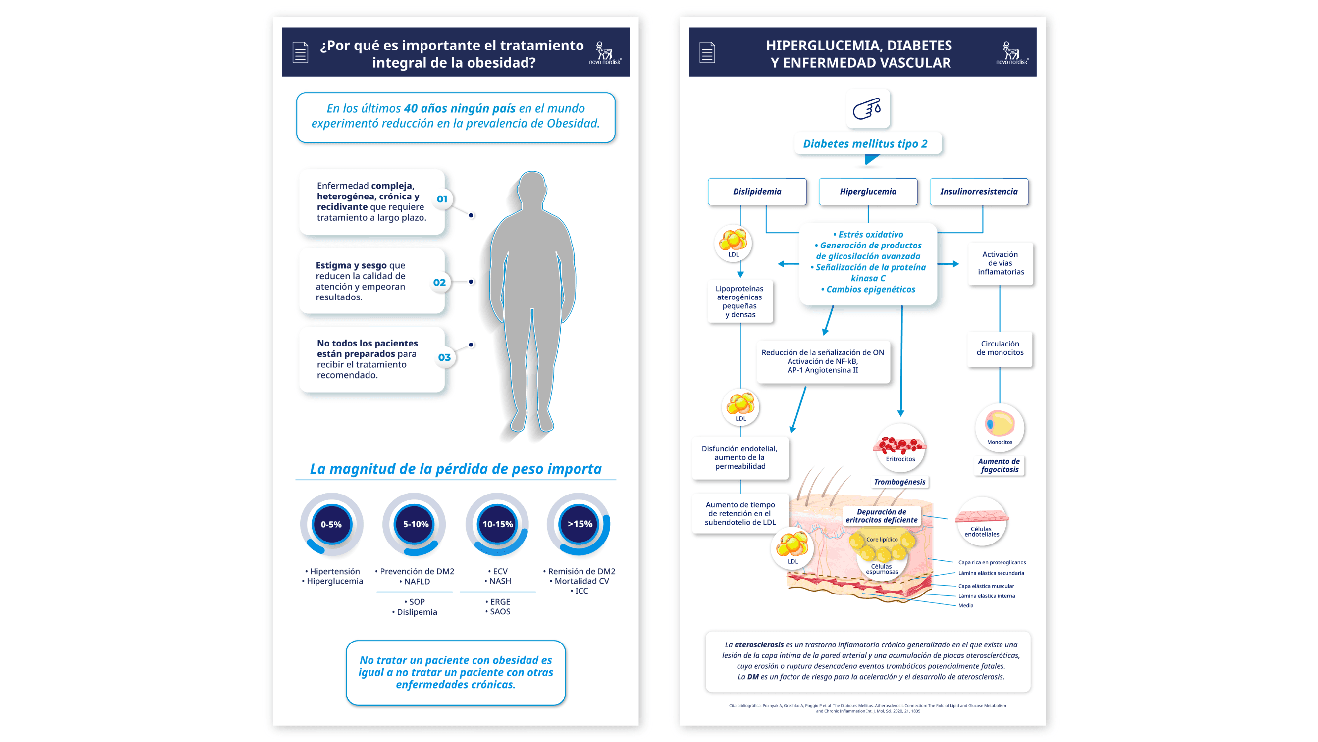 Infografías / Proyecto: Obesidad
