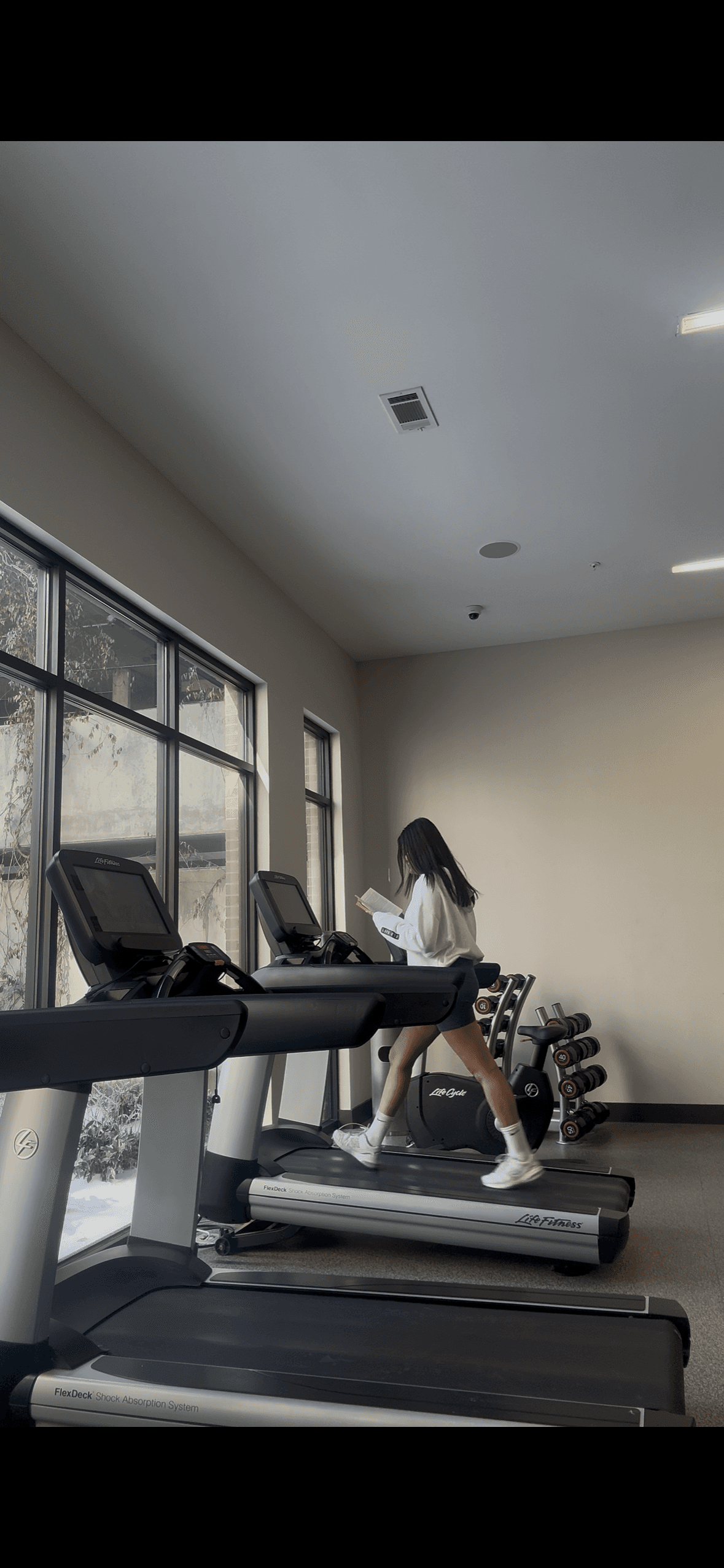 Narrow street lined with shops and greenery