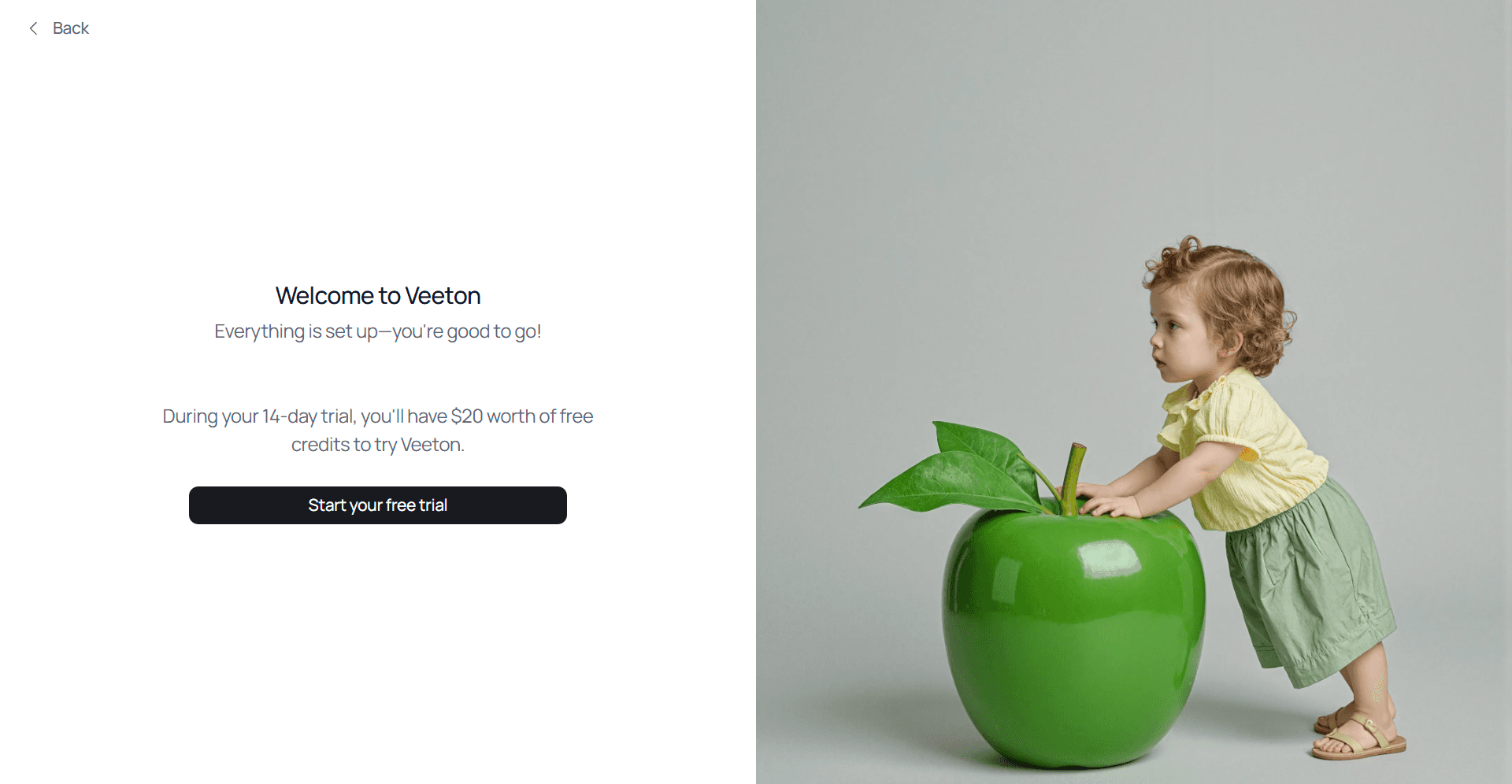 Choose the right plan for your brand