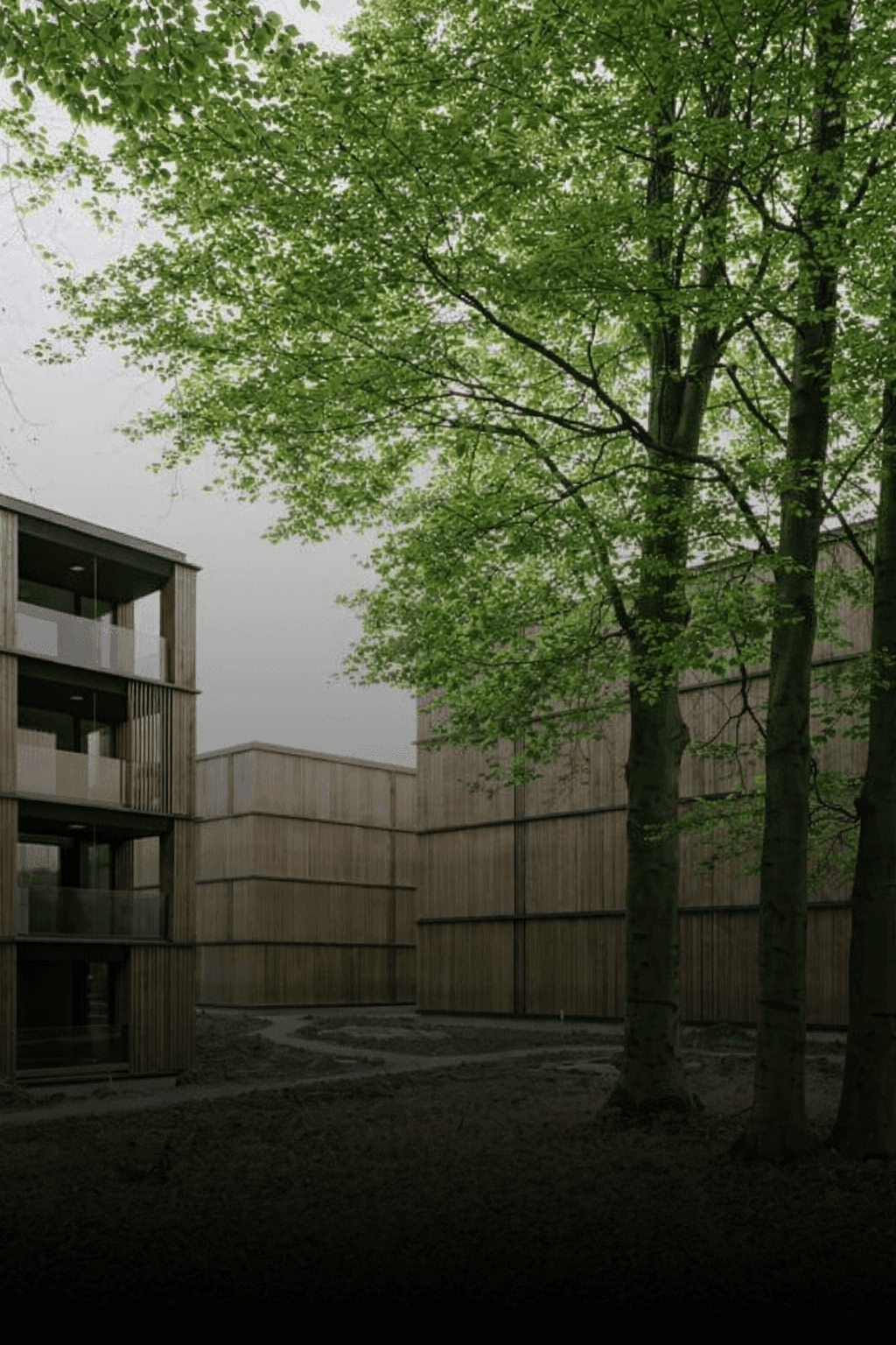 A person wearing a beanie and glasses is working at a computer desk in a sunlit apartment, surrounded by plants, with a cityscape visible through the large windows.